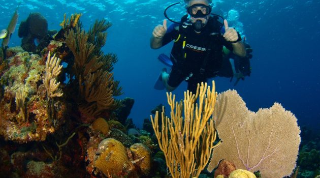 Scuba Diving Trips & Packages in Cuba