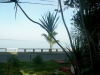 Hostal Maria Antonia y Napoles-Vista jardin frente