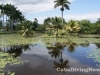 Guamá