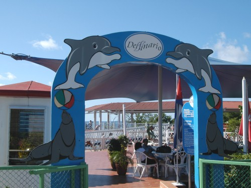 Dolphinarium In Cienfuegos Cuba Swimming With Dolphins