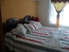 Hostal Luis-habitacion
