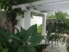 hostal-plaza-terraza-patio5