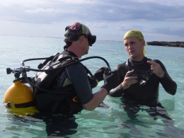 Iniciaciones y otros cursos de buceo